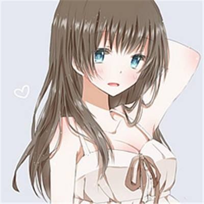 导盲犬首次亮相国新办发布厅